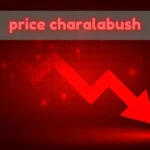 Price Charalabush Explained: How This Emerging Term Influences Consumer Decision-Making