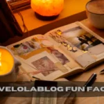 LoveLolaBlog Fun Facts: How Home Decor Ideas Are Infused with Creativity and Personal Touches